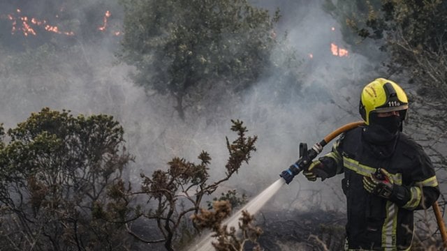 Su tuo Bolivija nebuvo susidūrusi – didžiausi gaisrai istorijoje jau sunaikino 10 mln. hektarų miškų