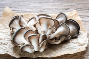 Vaistinėmis savybėmis pasižymintys grybai – reguliuoja kraujospūdį ir saugo nuo vėžio