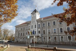 Prokuratūra kreipėsi į teismą dėl Šiaulių miesto tarybos narės D. Martinkienės nepagrįsto praturtėjimo