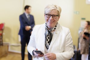 I. Šimonytė: didžiąją dalį gynybos įnašo reikės finansuoti ne gynybos obligacijomis ar savanoriškais įnašais