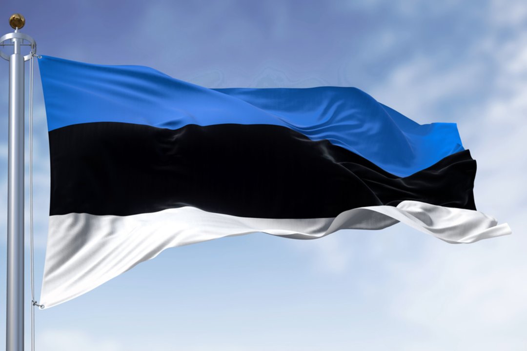 Apklausa 57 proc. Estijos piliečių norėtų, kad JAV prezidento rinkimus