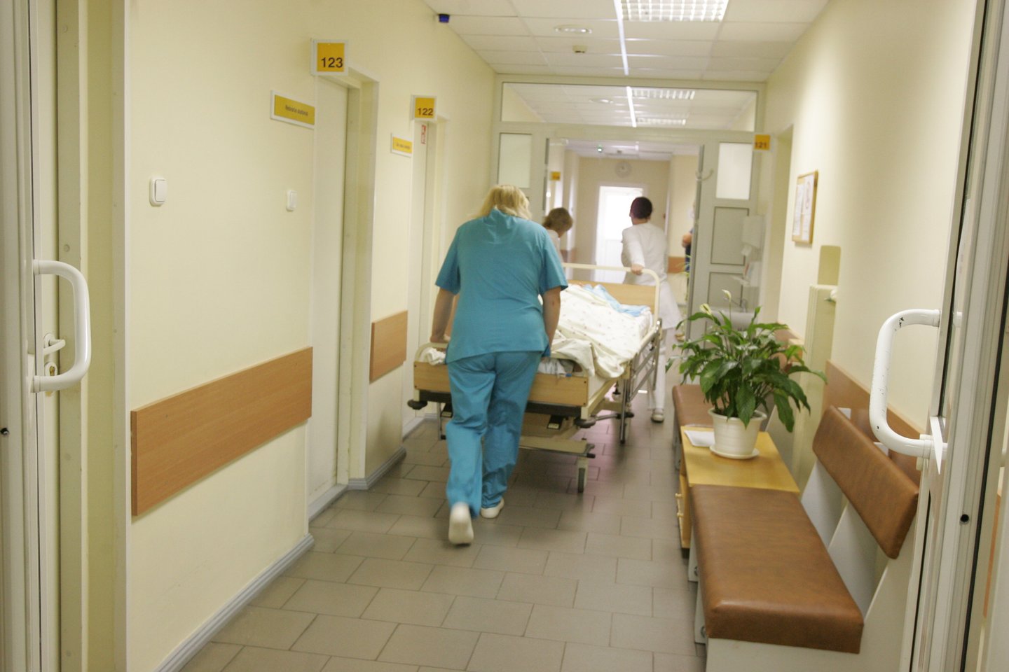 Ligoninė<br>A. Barzdžiaus asociatyvioji nuotr.