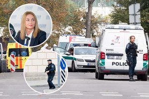 „Reikia būti labai atviriems ir tai pasakyti“: po šaudynių Vilniuje pareigūnų atstovė siunčia įspėjimą