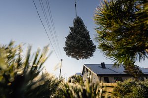 Iki didžiųjų švenčių – vos keli mėnesiai: Klaipėda beldžiasi į miestiečių širdis ir kviečia prisidėti