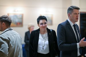 Apie paskutinę kadenciją LTOK prezidentės poste prabilusi D. Gudzinevičiūtė kirto atgal dėl mitinių rėmėjų