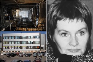 Praėjus beveik pusmečiui nuo Kauno menininkės žūties tragediją tebegaubia mįslės