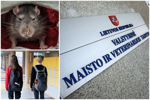 Šokiravo net inspektorius: šalia maisto produktų, tiektų ir ugdymo įstaigoms, mėtėsi graužikų išmatos