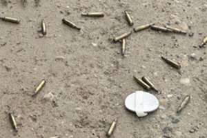 Kaunietį suglumino vaizdas miške: tokių radinių – ne viena dešimtis