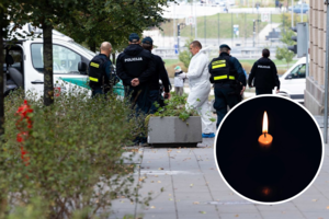 Skelbia, kada ir kur bus galima atsisveikinti su Vilniuje nužudytu advokatu