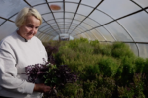 Bazilikų ūkio įkūrėja neabejoja šio augalo nauda: patarė, kur geriausia jį naudoti