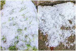 Klaipėdiečiai jau juokauja apie pirmą sniegą: žemę užklojo sluoksnis ledukų