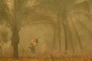 Didžiausia ekologinė katastrofa Bolivijos istorijoje – išdegė Portugalijos dydžiui prilygstantis plotas