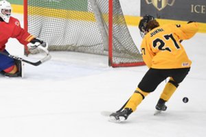 17-metis D. Jukna tapo ketvirtuoju lietuviu debiutavusiu ledo ritulio Čempionų lygoje