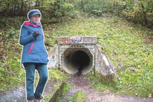 Tunelis, kurio troško, virto baubu: vilniečių gyvenimas gali virsti pragaru 