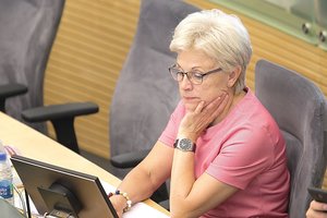 VRK netenkino I. Haase prašymo perskaičiuoti balsus Sūduvos šiaurinėje vienmandatėje apygardoje