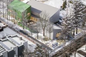 Pavilnyje kils modernūs namai: kaimynus kviečia susipažinti