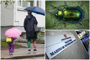 Darželinukų tėvai batono pakuotėje aptiko vabalą: VMVT inspektoriai rado ir daugiau pažeidimų