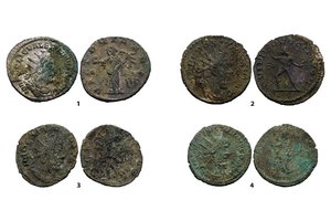 Pavydėtina sėkmė: metalo detektoriumi aptiko retą lobį