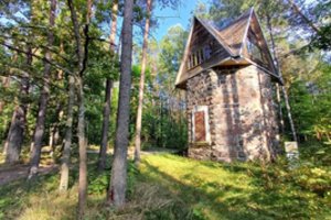 Aukcione – pastatas lyg iš pasakos, apsuptas aukštų Dzūkijos pušų: kaina kol kas juokinga
