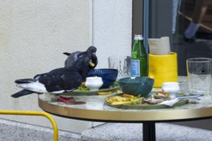 Bankrotų verpete – vis daugiau restoranų: kaltųjų paieškose nuskambėjo ir nepopuliari nuomonė