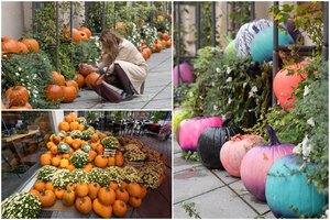 Kauno Laisvės alėją nuklojo moliūgai: floristai patarė, kur dar galima šias daržoves panaudoti