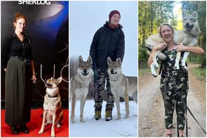 Išskirtinės veislės Gustės šunys – filmų ir reklamų žvaigždės: nuo charakterio ir gintarinio žvilgsnio perbėga šiurpuliukai