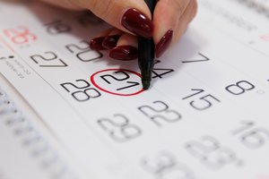 Seimas sudarė 2026 metų Lietuvai svarbių datų kalendorių: prisiminsime ne vieną reikšmingą įvykį