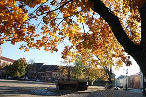 Bandys gelbėti mirštantį Kauno senamiestį – savivaldybė prakalbo apie mažesnes rinkliavas