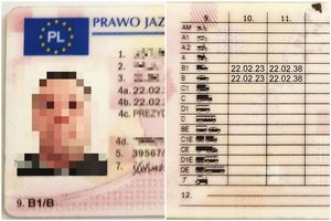 Vilniaus rajone įkliuvo Vokietijos pilietis su lenkiška klastote