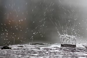 Mokslininkai: lietus galbūt padėjo įsukti gyvybės Žemėje ratą