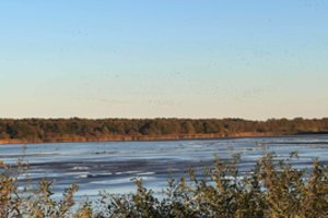 Įvyko jubiliejinis paukščių stebėtojų ralis: per 12 valandų suskaičiuotos 153 paukščių rūšys