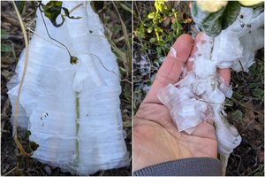 Lysvėse užfiksavo neįprastą reiškinį, kuris subyra vos prilietus: specialistai paaiškino, kas tai