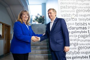 R. Karbauskis: nelabai suprantame, kas galėtų būti premjeru, be V. Blinkevičiūtės
