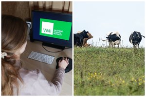 Svarbi žinia šio turto savininkams: mokesčiams sumokėti liko mažiau nei mėnuo
