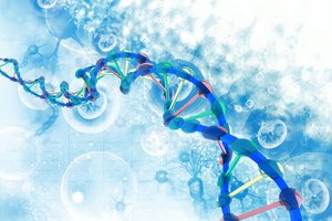 Patobulino DNR: išsaugoti duomenis bus galima 350 kartų greičiau