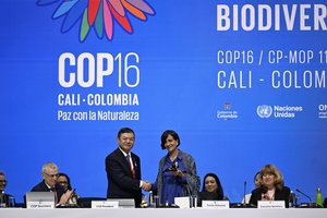 Kolumbijoje prasidėjo tarptautinė biologinės įvairovės konferencija: stabdys beprecedentį rūšių nykimą