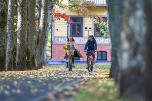 Sveikam poilsiui – miško ir jūros duetas