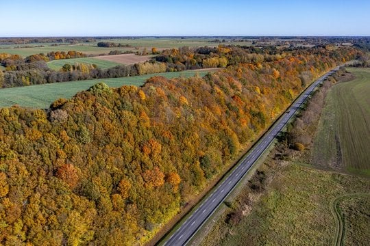 Sinoptikai pokyčių nenumato: vietomis savaitgalio planus vietomis gadins lietus