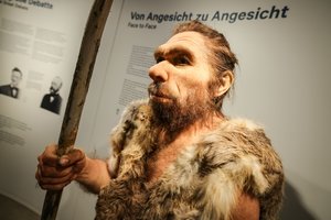 Mokslininkų tyrimuose – neandertaliečiai: kaip mylėjosi, kokius lyties organus turėjo ir rastą neįprastą ŽPV tipą