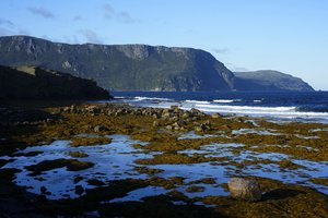 Mokslininkai mėgina išsiaiškinti, kas yra paslaptingi ant Kanados krantų pasirodę gumulai