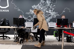 Balsavimas Seimo rinkimuose baigtas: kaip viskas vyko – pradėtas tyrimas, alkoholis ir aktyvumas