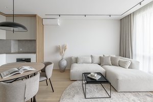 Šviesus ir jaukus dviejų kambarių butas 