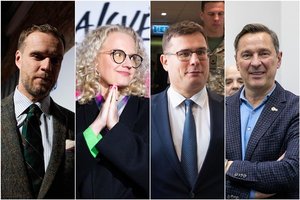 Vienmandatėse apygardose netrūko dramų: kai kurie nugalėjo per plauką