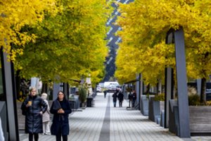 Lietuvius įspėja, jog ignoruoti šių pavojaus signalų – nevalia: pasakė, kam reikėtų ruoštis