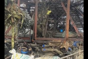 Ukrainos kariai perėmė retą rusų tanką