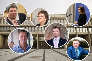 Į Seimą žengia itin gausus naujokų būrys: kas jie tokie?