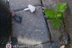 Vilniuje kvaišalus platinęs vagišius stos prieš teismą
