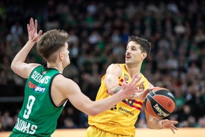 Paaiškėjo, kiek laiko N. Laprovittola turės praleisti be krepšinio