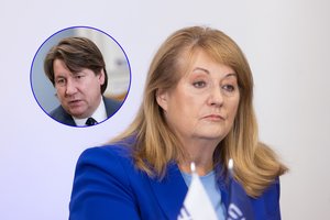 Iš įtakingo socialdemokrato – aštri kritika V. Blinkevičiūtei: „Kaip gali gatvėje žiūrėti žmonėms į akis?“