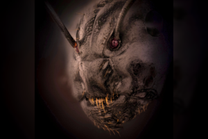 Ar atpažinsite, ką lietuvis įamžino šiurpą keliančioje nuotraukoje?